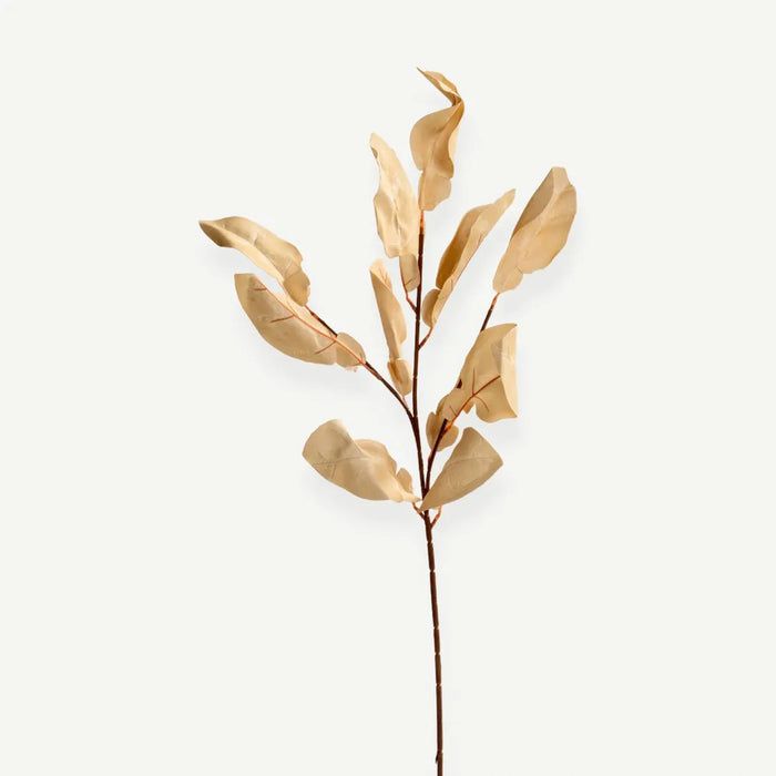 Eucalyptus Leaves - Beige - H80 cm - 1