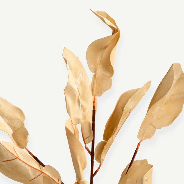 Eucalyptus Leaves - Beige - H80 cm - 1