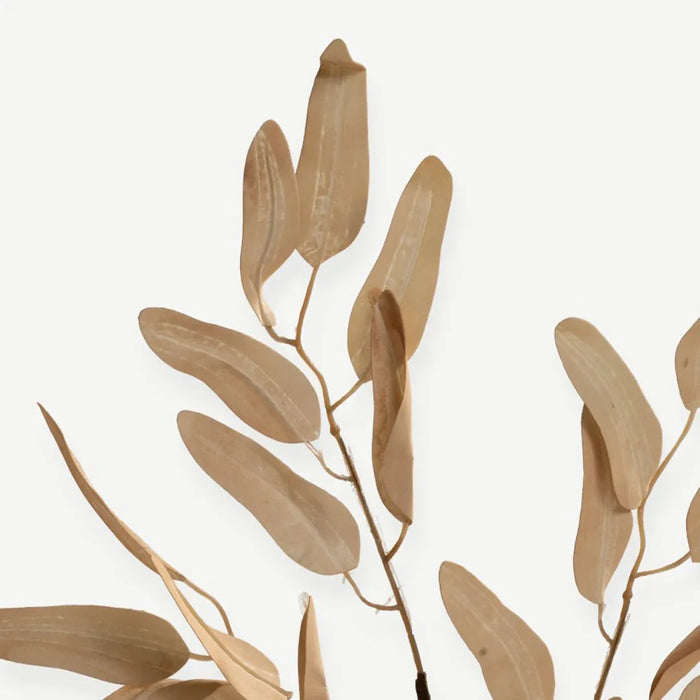 Eucalyptus Leaves - Beige - H80 cm - 2