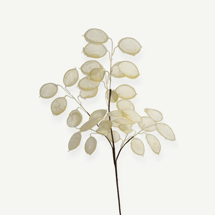 Eucalyptus Leaves - Cream - 1