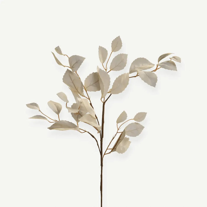 Eucalyptus Leaves - Cream - 2