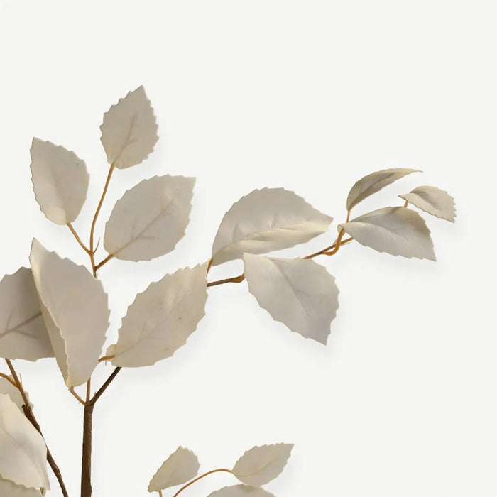 Eucalyptus Leaves - Cream - 2