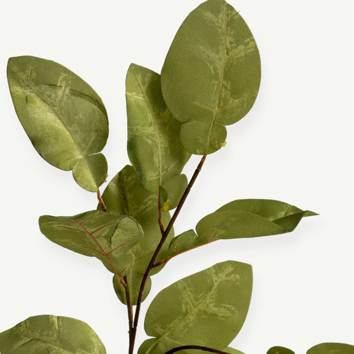 Eucalyptus Leaves - Green - H80 Cm
