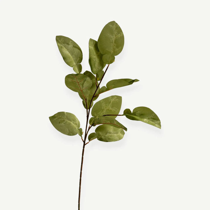 Eucalyptus Leaves - Green - H80 Cm