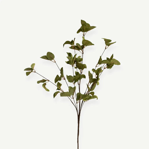 Eucalyptus Leaves - Green - H65 CM OC Home