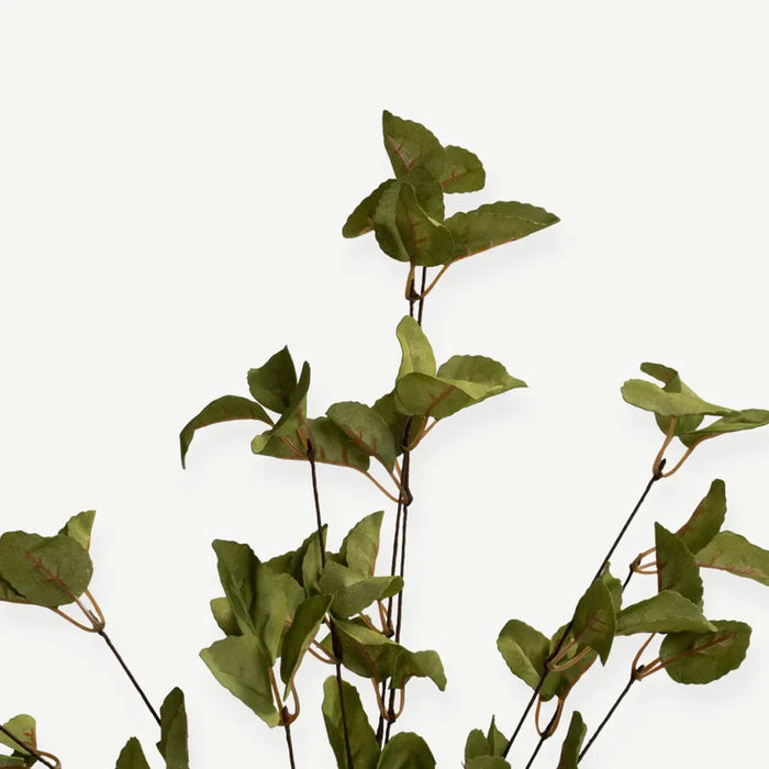 Eucalyptus Leaves - Green - H65 CM