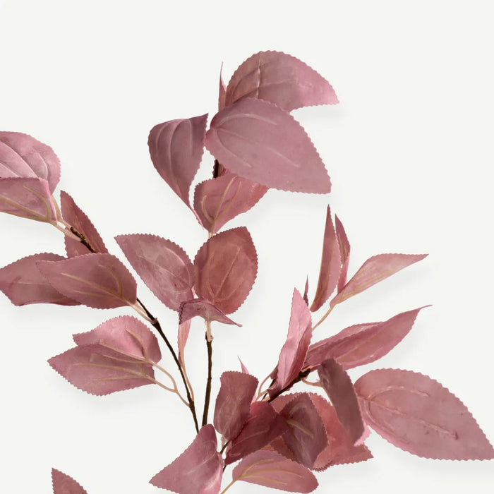 Eucalyptus Leaves - Pink - H70 cm - 1