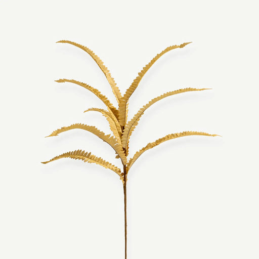 Fern Plant - Beige OC Home
