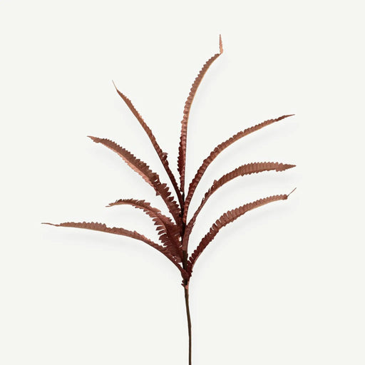 Fern Plant - Red OC Home