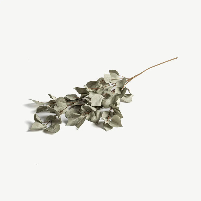 Euphorbia Leaves -Pastel Green