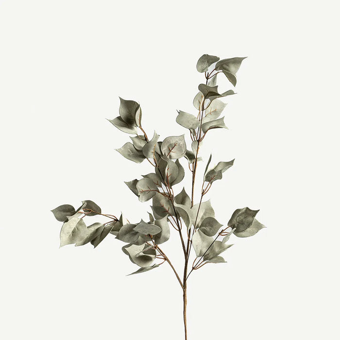 Euphorbia Leaves -Pastel Green