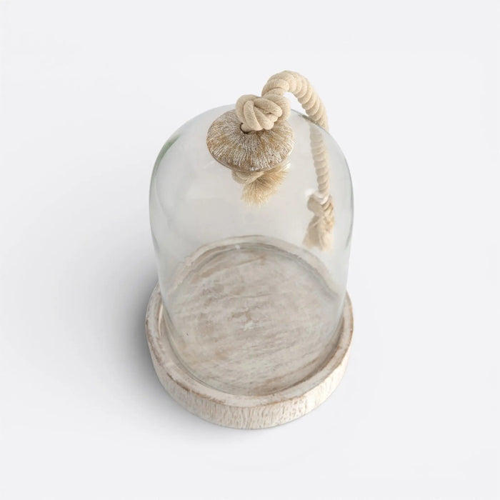 Lofiar Cake Dome -19x28cm