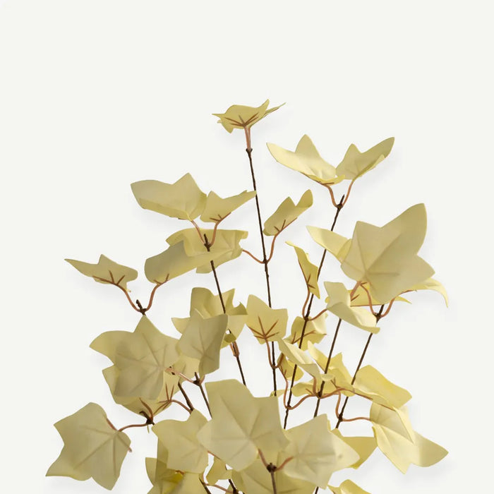 Maple Leaves - Cream