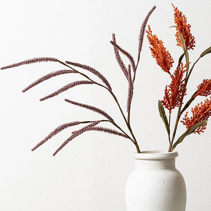 Pampas Grass -Blush