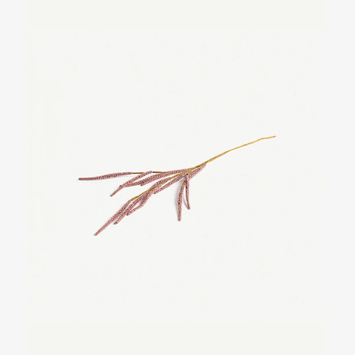 Pampas Grass -Blush