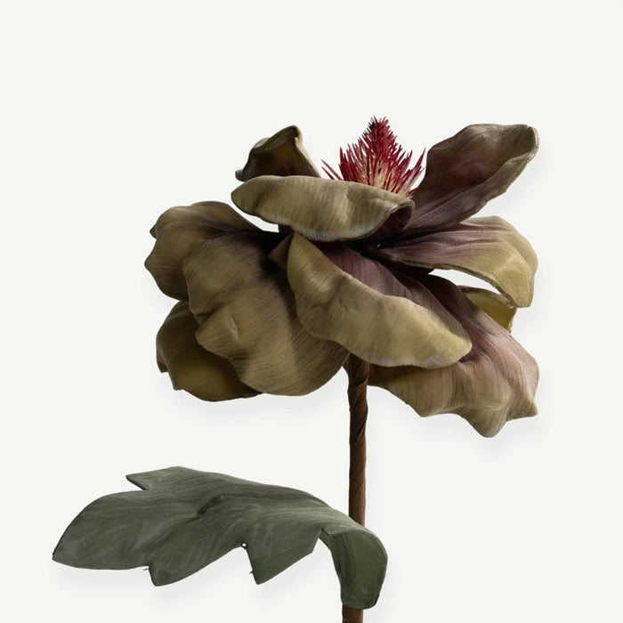 Poppy Flower Stem -Green