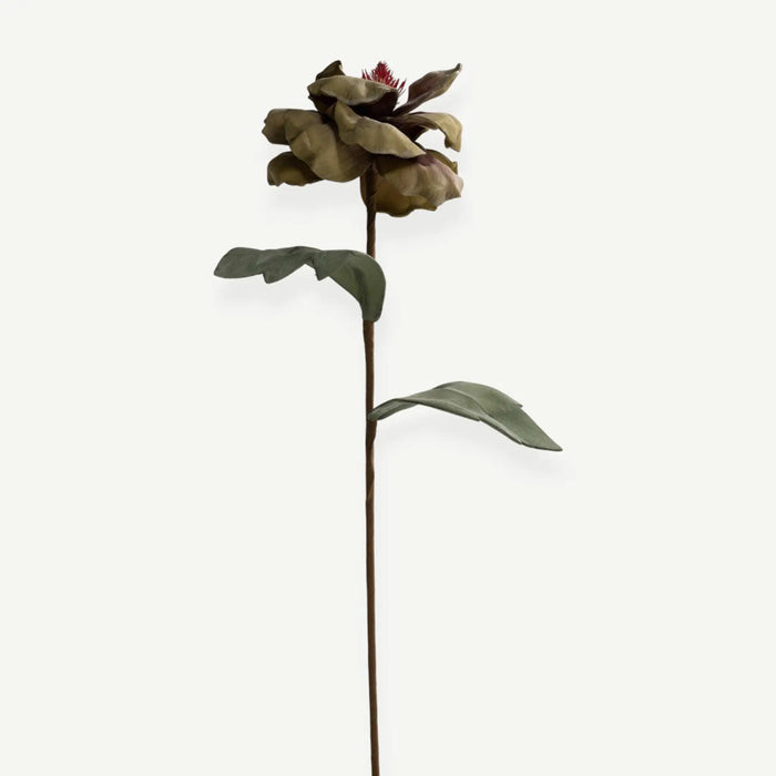 Poppy Flower Stem -Green