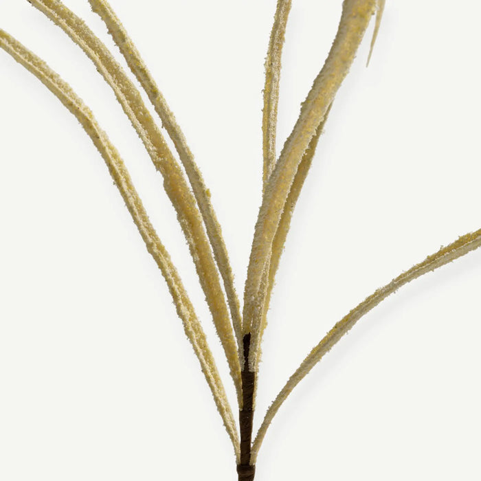 Rice Branch - Cream