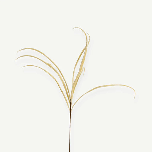 Rice Branch - Cream OC Home