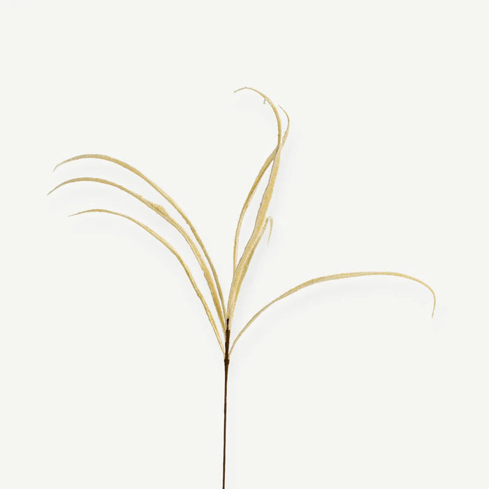 Rice Branch - Cream