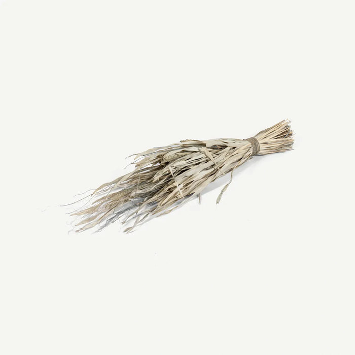 Tolani Dried Plant Arrangement -Grey