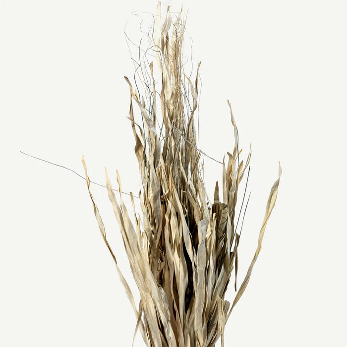 Tolani Dried Plant Arrangement -Grey