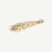 Tolani Dried Plant Arrangement -Multi OC Home
