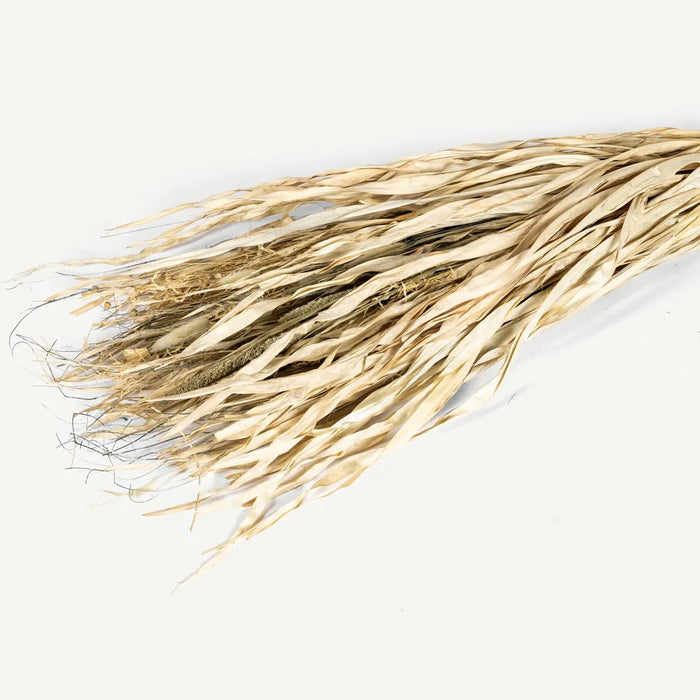 Tolani Dried Plant Arrangement -Multi OC Home