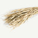 Tolani Dried Plant Arrangement -Multi OC Home