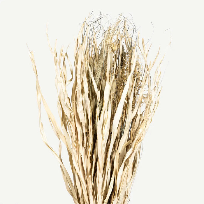 Tolani Dried Plant Arrangement -Multi OC Home