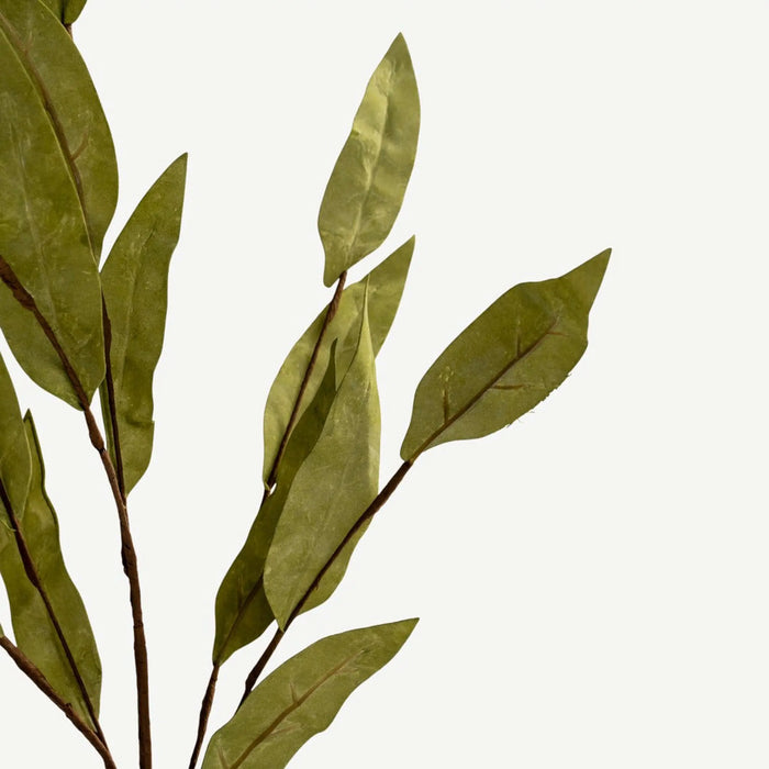 Willow Leaves - Green - H78 Cm