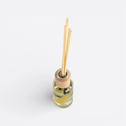 Zionne Reed Diffuser -Bamboo & White Tea OC Home