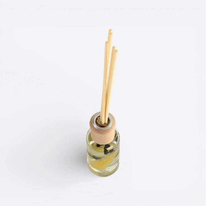 Zionne Reed Diffuser -Bamboo & White Tea