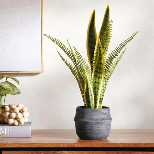 Adela Stoneware Planter 15X15X11.8Cm - Black Pan Home