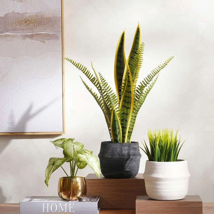 Adela Stoneware Planter 15X15X11.8Cm - White Pan Home