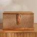 Alexa Veneer  Storage Box  30X17X16Cm - Brown Pan Home