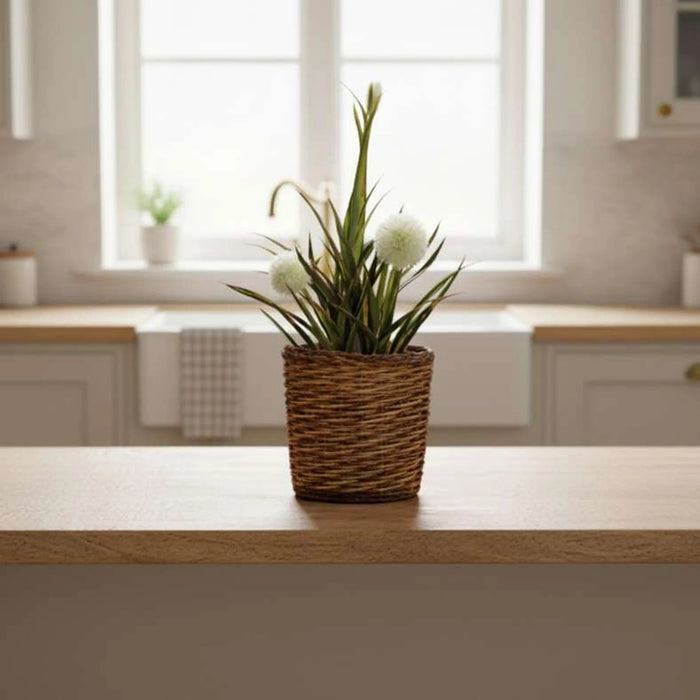 Alexis Willow Planter Dia28Xh26Cm - Natural Pan Home