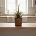 Alexis Willow Planter Dia28Xh26Cm - Natural Pan Home