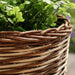 Alexis Willow Planter Dia34Xh32Cm - Natural Pan Home