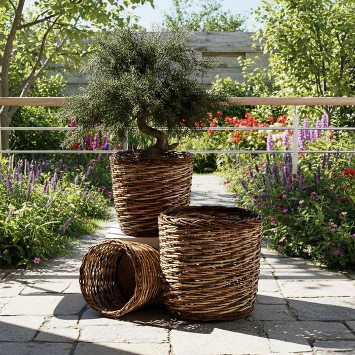 Alexis Willow Planter Dia34Xh32Cm - Natural Pan Home