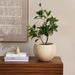 Andro Polyresin Planter Dia27X20Cm - Cream Pan Home