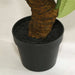 Anthurium Artificial Tree With Pot H150Cm - Green Pan Home