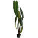 Anthurium Artificial Tree With Pot H150Cm - Green Pan Home