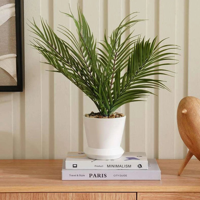 Areca Palm Plant In Ceramic Pot H40.5Cm - Green Pan Home