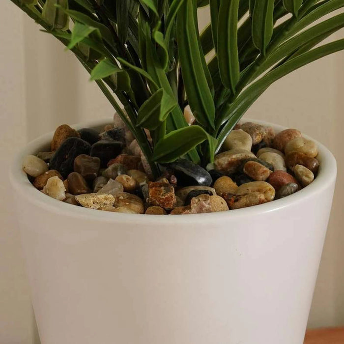 Areca Palm Plant In Ceramic Pot H40.5Cm - Green Pan Home