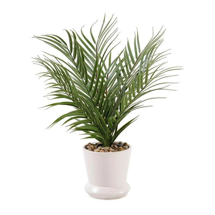 Areca Palm Plant In Ceramic Pot H40.5Cm - Green Pan Home