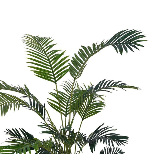 Areca Palm Tree Green H160Cm Pan Home