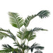 Areca Palm Tree Green H160Cm Pan Home