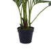 Areca Palm Tree Green H160Cm Pan Home