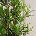 Artificial Bamboo Tree H150Cm - Green Pan Home